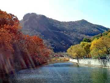 管家婆黑白马报图库，荧屏分配器